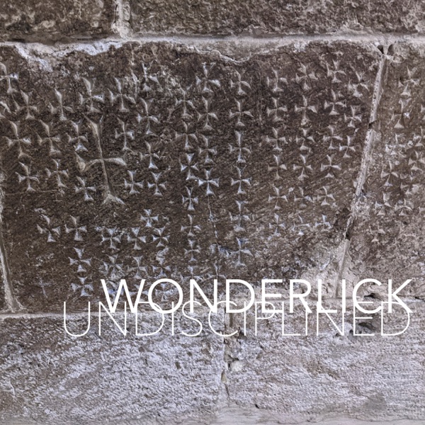 Undisciplined封面