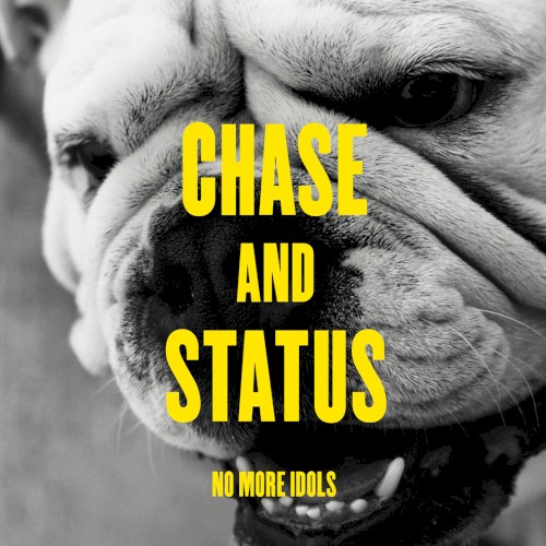 No More Idols封面