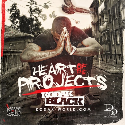 Heart of the Projects封面