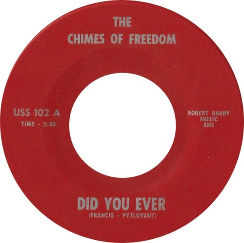 Did You Ever / Jungle Rock封面