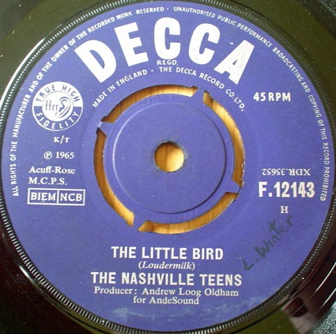 The Little Bird封面