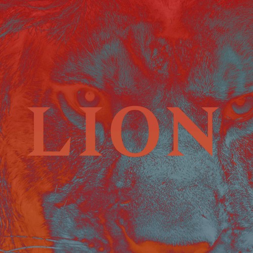 Lion封面