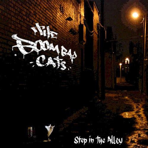 Step in the Alley封面