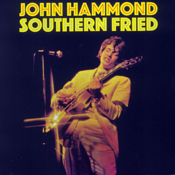 Southern Fried封面