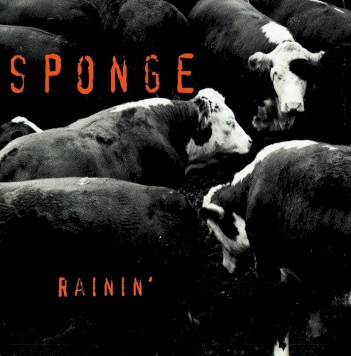 Rainin'封面