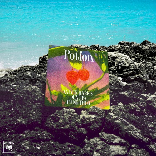 Potion封面
