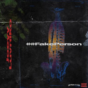 Fake Person封面