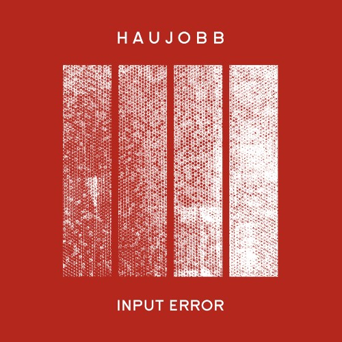Input Error封面