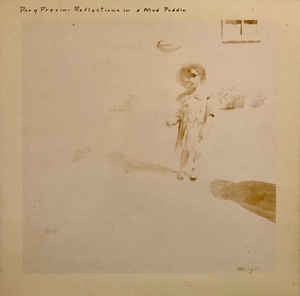 Reflections in a Mud Puddle: Taps Tremors and Time Steps封面