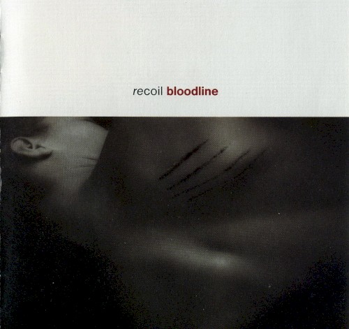 Bloodline封面