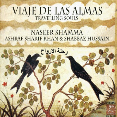 Viaje de las almas (Travelling Souls)封面