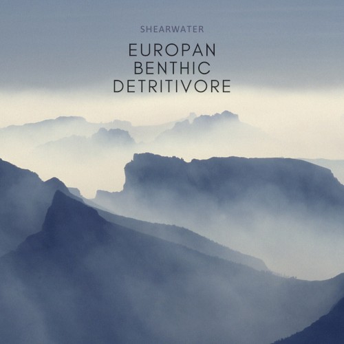 Quarantine Music II: Europan Benthic Detritivore封面
