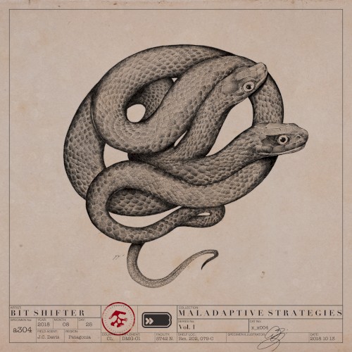 Maladaptive Strategies, Vol. 1封面