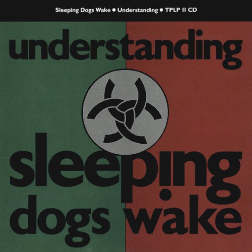 Understanding封面