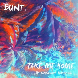 Take Me Home封面