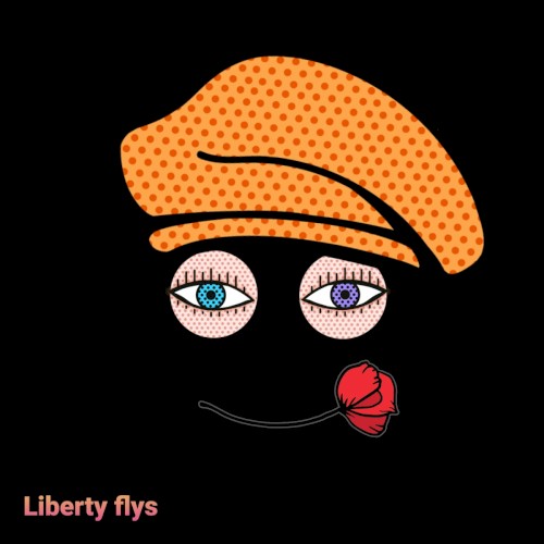Liberty flys封面
