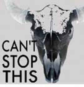Can't Stop This封面