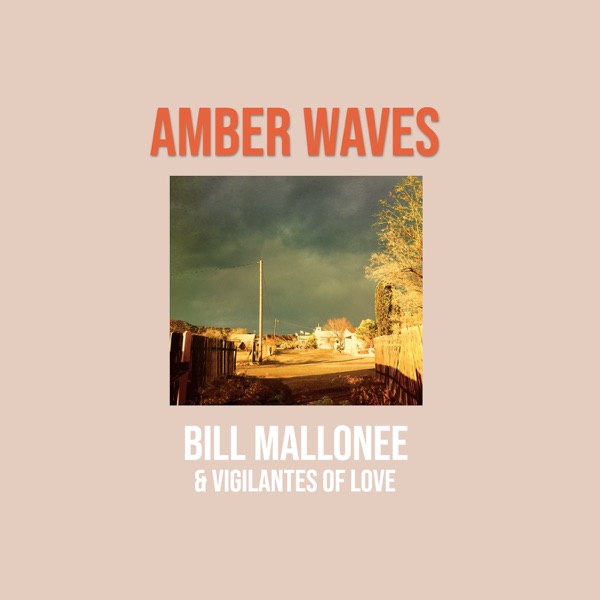 Amber Waves封面