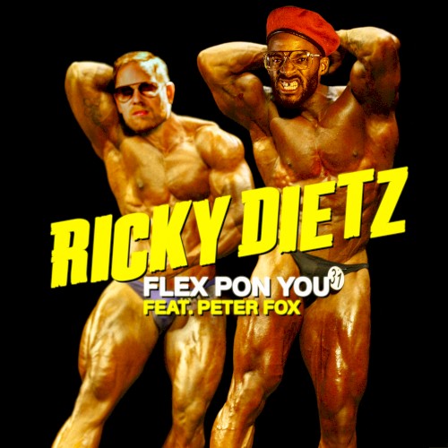 Flex Pon You封面