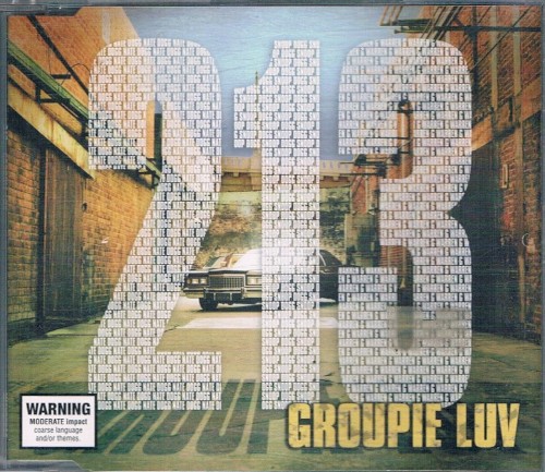 Groupie Luv封面