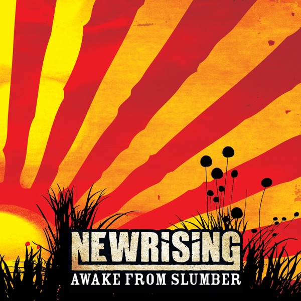 Awake From Slumber封面