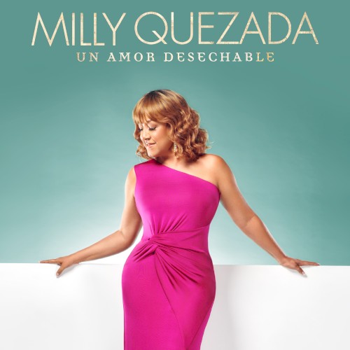 Un amor desechable封面