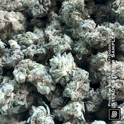 Steady Strains Sampler (Deluxe Edition)封面