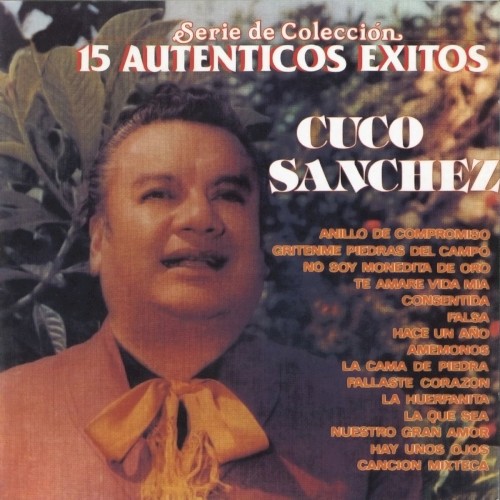15 auténticos éxitos封面
