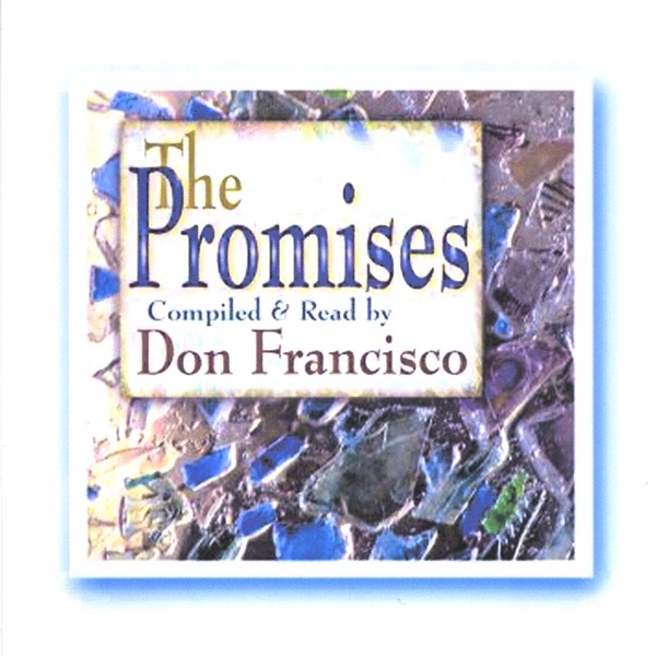 The Promises封面