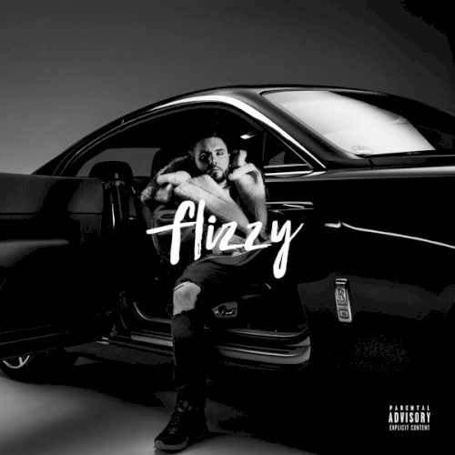 Flizzy封面