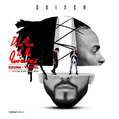 Dile que tú me quieres (remix)封面