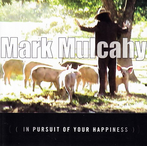 In Pursuit of Your Happiness封面