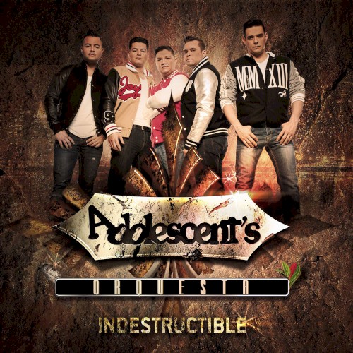 Indestructible封面