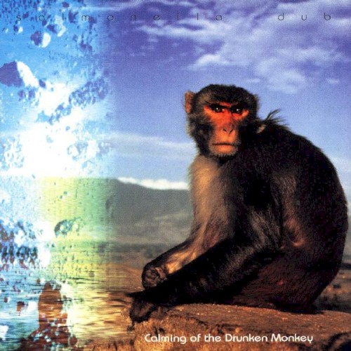 Calming of the Drunken Monkey封面