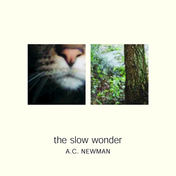 The Slow Wonder封面