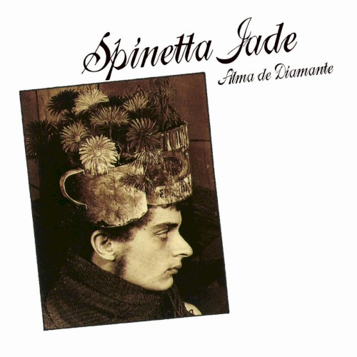 Alma de Diamante封面