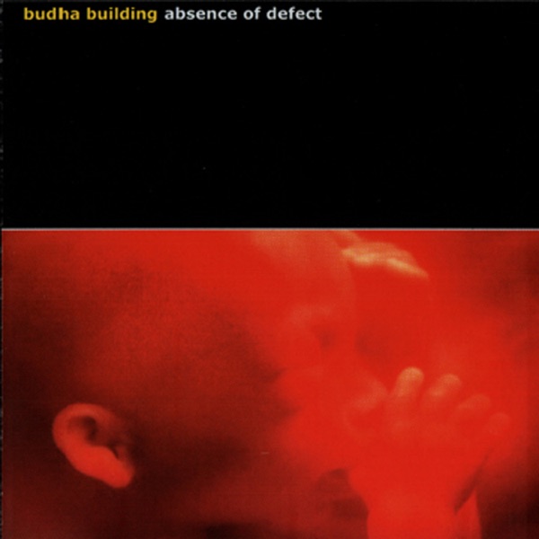 Absence of Defect封面