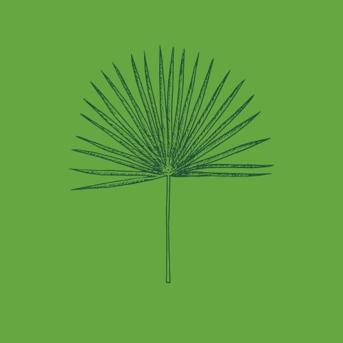 Wind Blown (The Sabal’s Last Word)封面