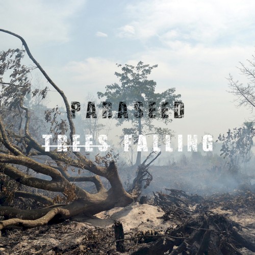 Trees Falling封面