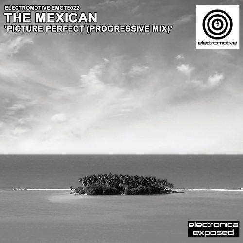 Picture Perfect (Progressive Mix)封面