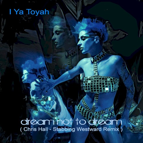 Dream not to Dream (Chris Hall - Stabbing Westward Remix)封面