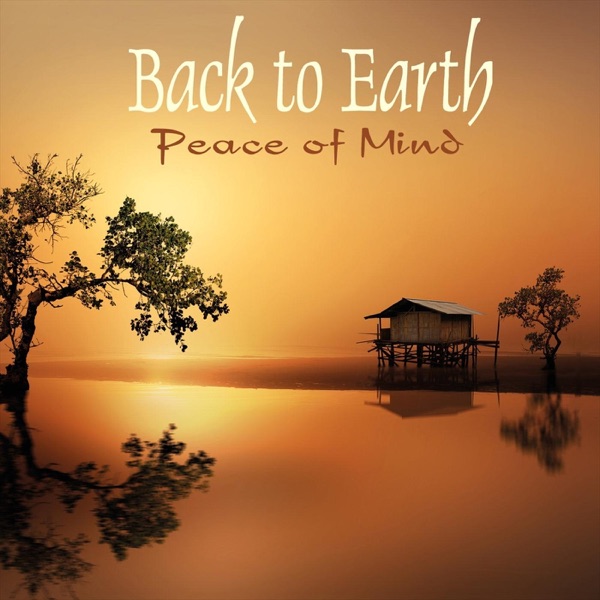 Peace of Mind封面
