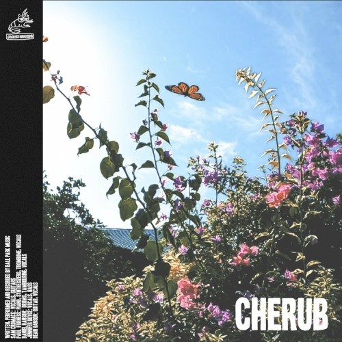 Cherub封面