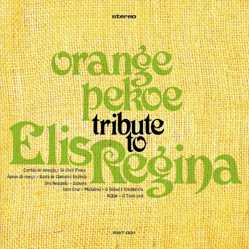 Tribute To Elis Regina封面