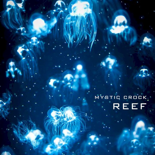 Reef封面