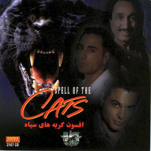 Afsoon (Spell Of The Cats)封面