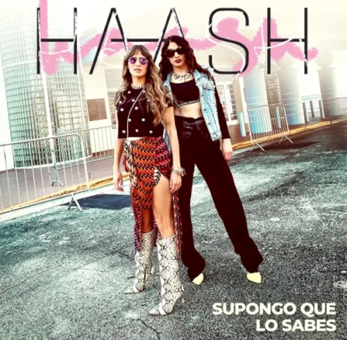 Supongo que lo sabes封面
