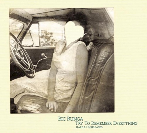 Try to Remember Everything封面