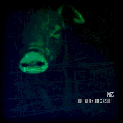 Pigs封面