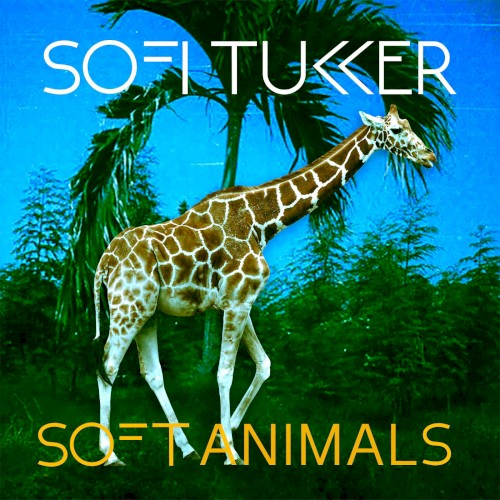 Soft Animals封面